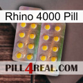 Rhino 4000 Pill new10